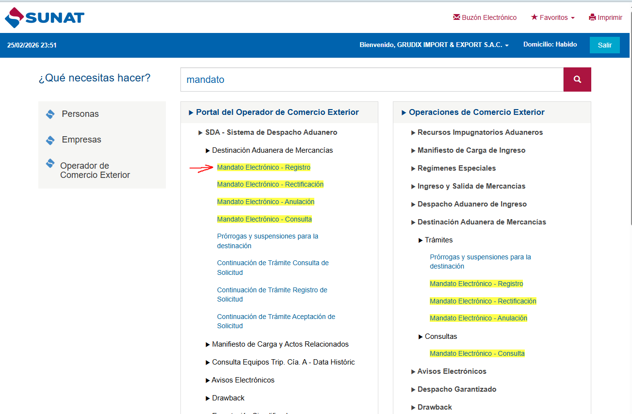 Paso 2: Buscador de Mandato en SUNAT